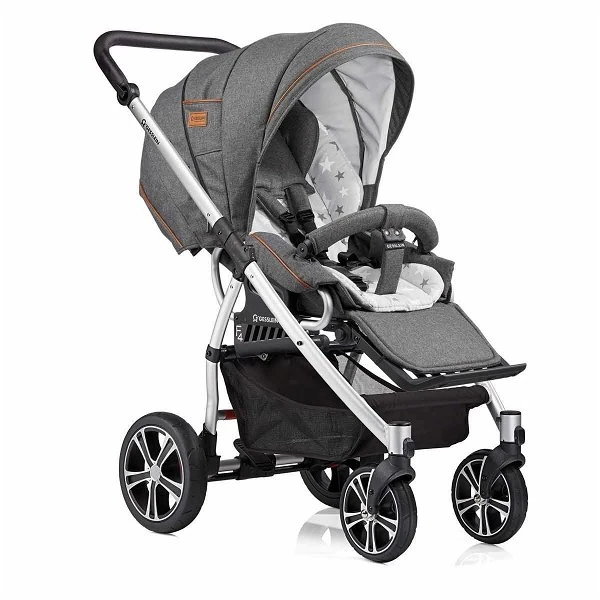 Gesslein F4 Air Plus Dessin 053053 Gestell Eloxiert Sportwagen Zum Buggy Umbaubar 1 Gesslein F4 Air Plus Dessin 053053 Gestell Eloxiert Sportwagen Zum Buggy Umbaubar