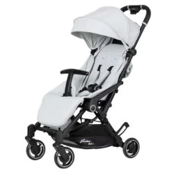 Hartan Bit Buggy Ice 2023