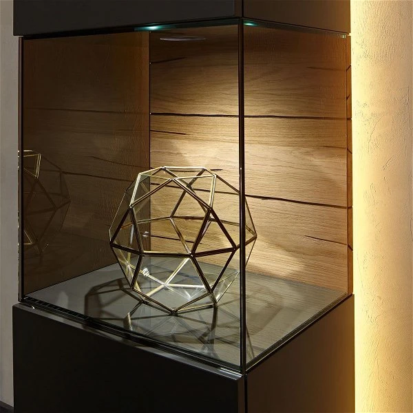 Hülsta Gentis Wohn-Kombi 7 - Akzent Naturstamm Inkl. LED-Beleuchtung Vitrine 1 Hülsta Gentis Wohn-Kombi 7 - Akzent Naturstamm Inkl. LED-Beleuchtung Vitrine