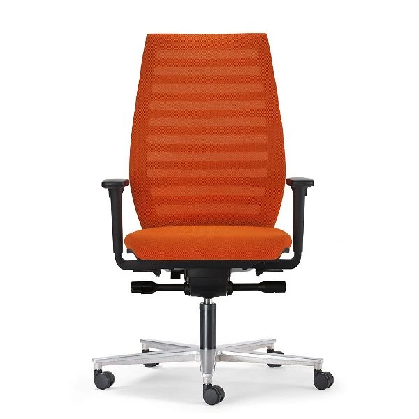 Rovo R12 6060 EB Ergo Balance Mit Rückenpolster Stoff Gaya 1 Rovo R12 6060 EB Ergo Balance Mit Rückenpolster Stoff Gaya